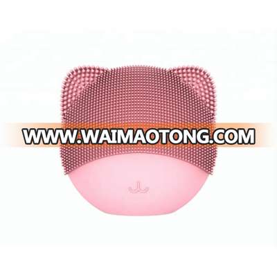 Wholesale 2018 New Product Face Cleansing Brush 2 in 1 Sonic Beauty Device